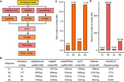 Exploring domestication pattern in lotus: insights from dispensable genome assembly